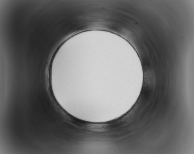 X0000088041150200705251257