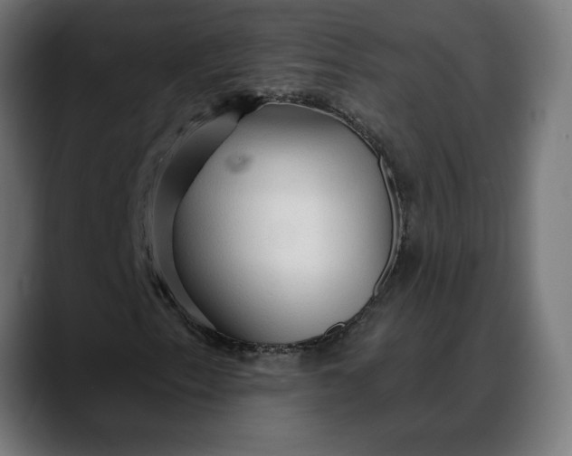 X0000088041153200705251256