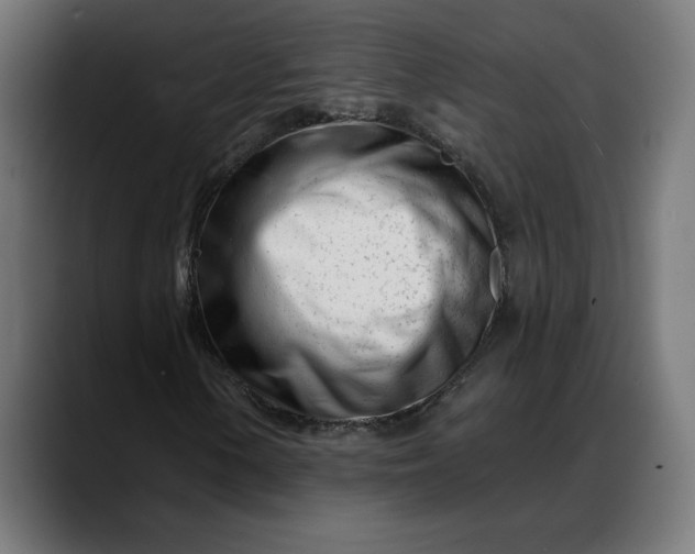 X0000088041154200705251256