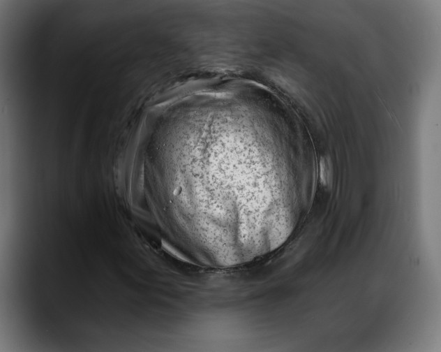 X0000088041155200705251256