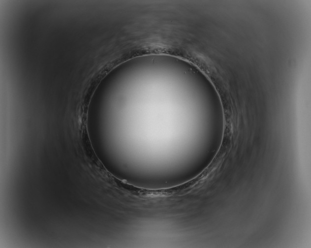 X0000088041157200705251256