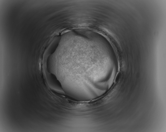 X0000088041161200705251256
