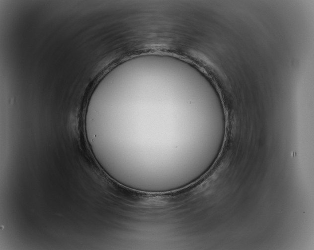 X0000088041162200705251256