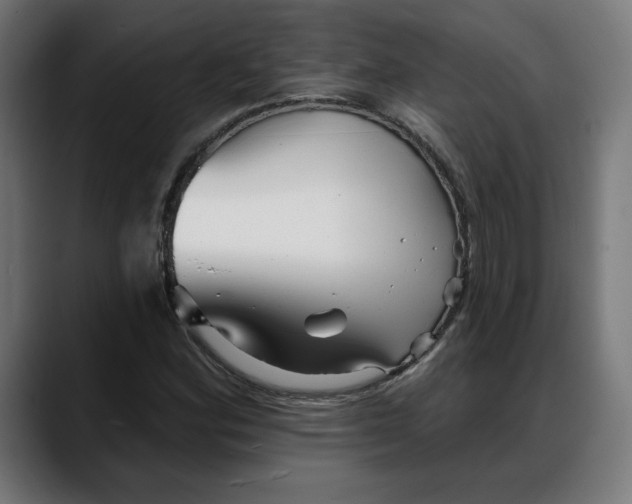 X0000088041164200705251256
