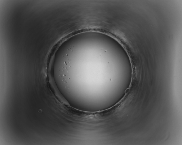 X0000088041165200705251256