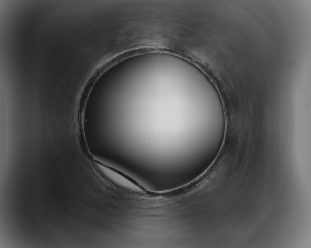 X0000088041168200705251256
