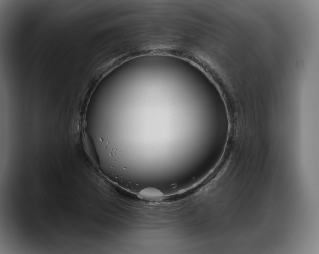 X0000088041169200705251256