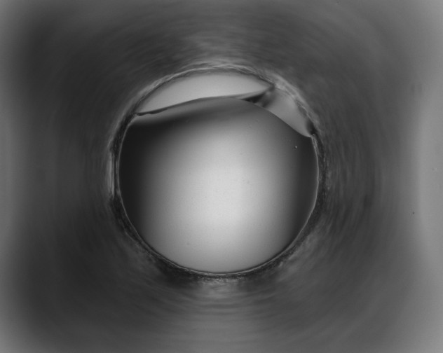 X0000088041171200705251256