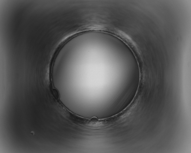 X0000088041174200705251256