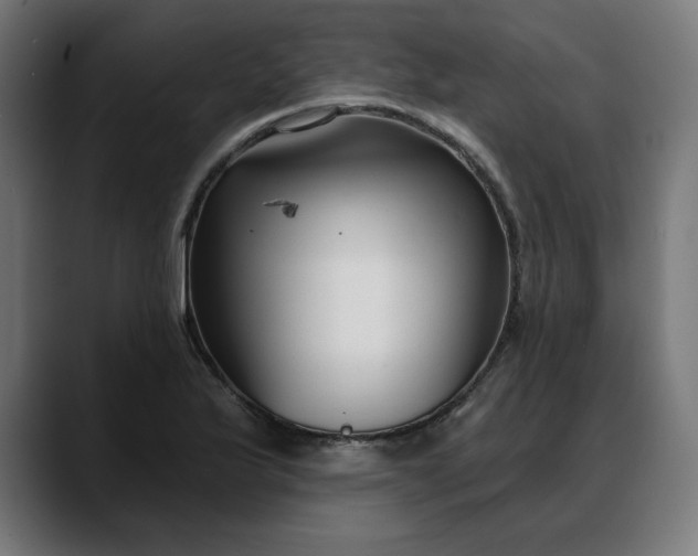 X0000088041175200705251256