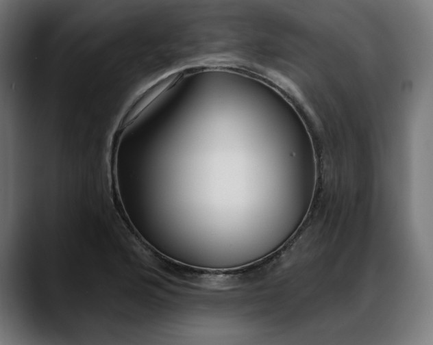 X0000088041176200705251256