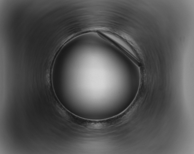 X0000088041177200705251256