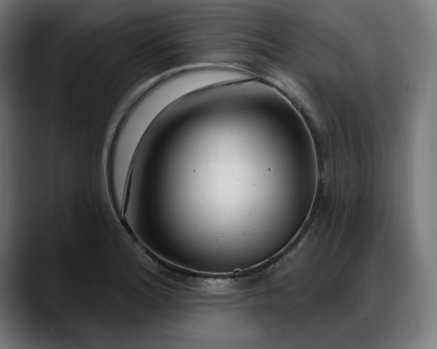 X0000088041180200705251256