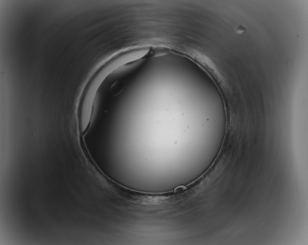X0000088041184200705251256