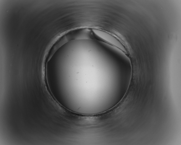 X0000088041188200705251255