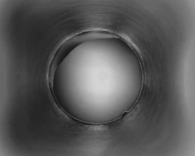 X0000088041189200705251255