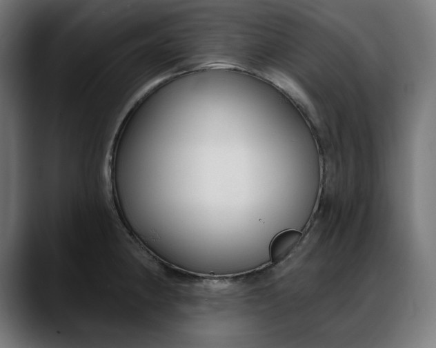 X0000088041190200705251255