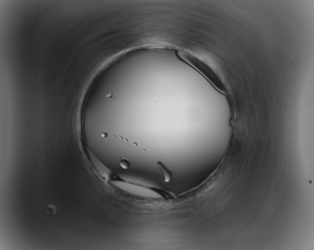 X0000088041191200705251255