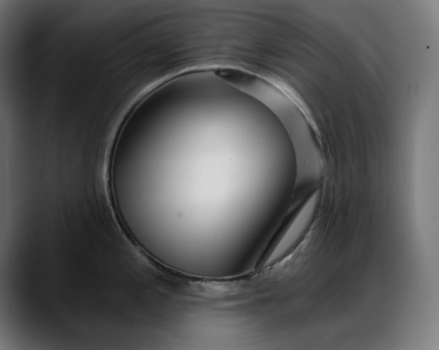 X0000088041197200705251255