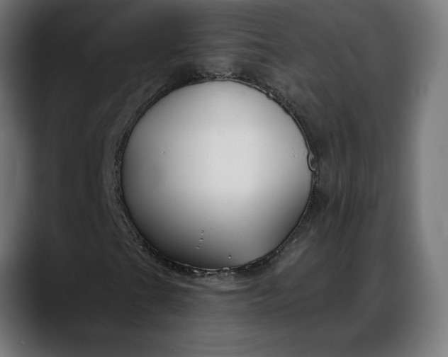 X0000088041201200705251255