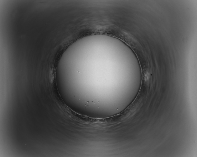 X0000088041204200705251255