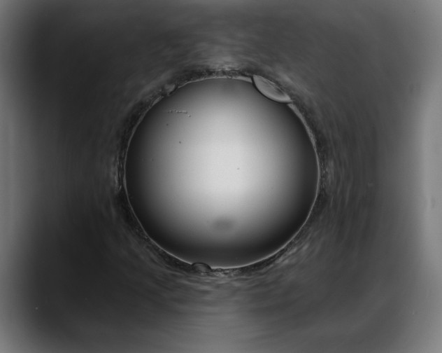 X0000088041205200705251255