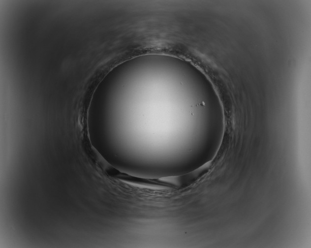 X0000088041206200705251255