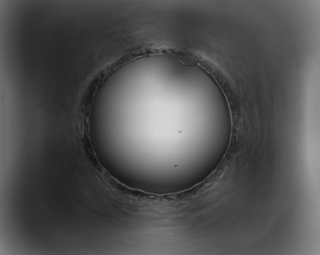 X0000088041207200705251255