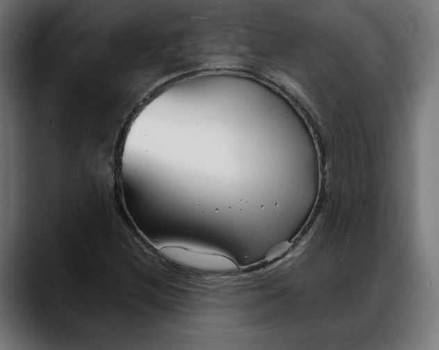 X0000088041212200705251255