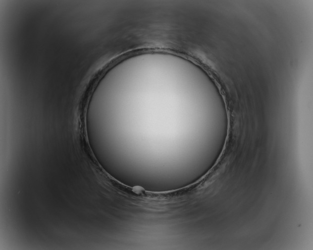 X0000088041215200705251255