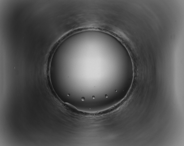 X0000088041216200705251255