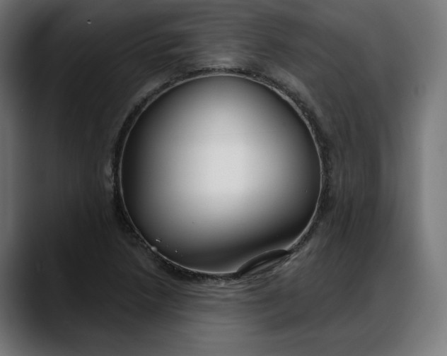 X0000088041218200705251255