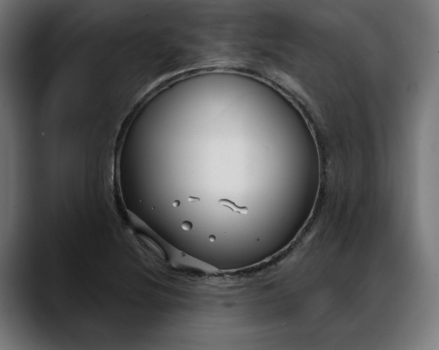 X0000088041220200705251255