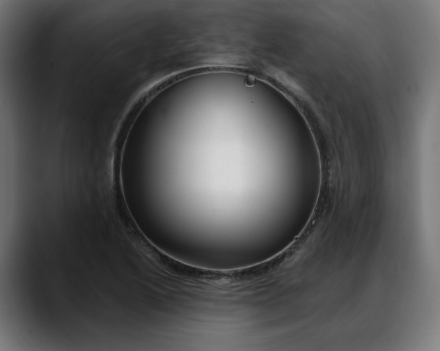 X0000088041222200705251255