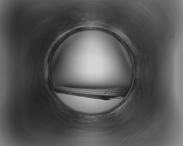 X0000088041224200705251255