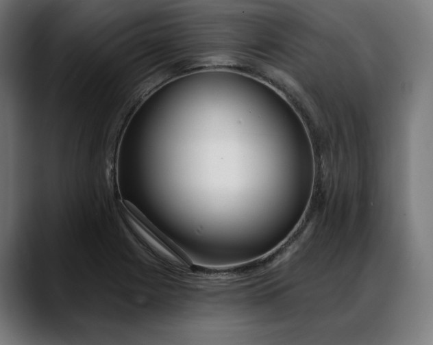 X0000088041225200705251255