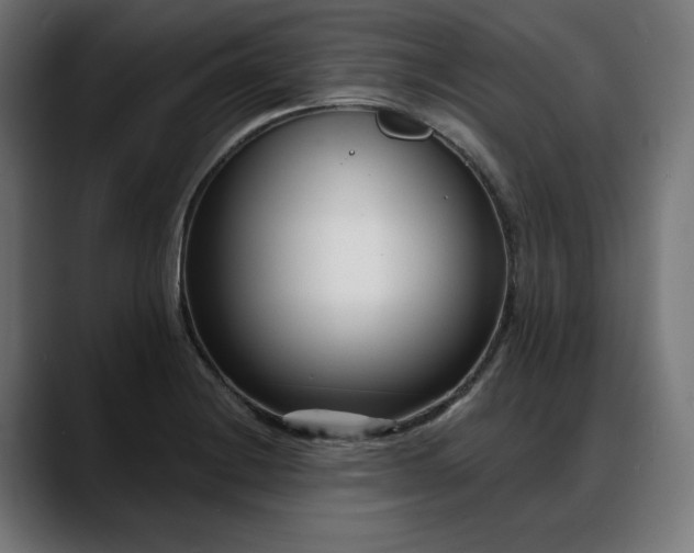 X0000088041228200705251255