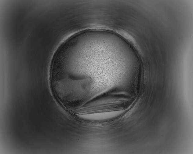 X0000088041231200705251255