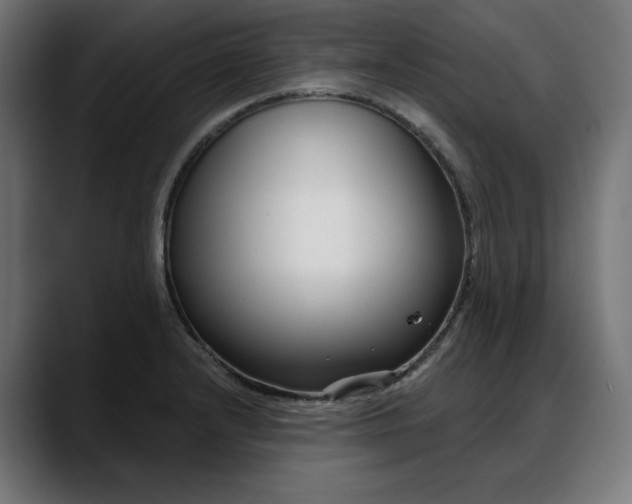 X0000088041232200705251255