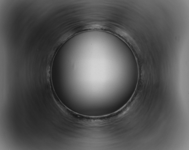 X0000088041233200705251255