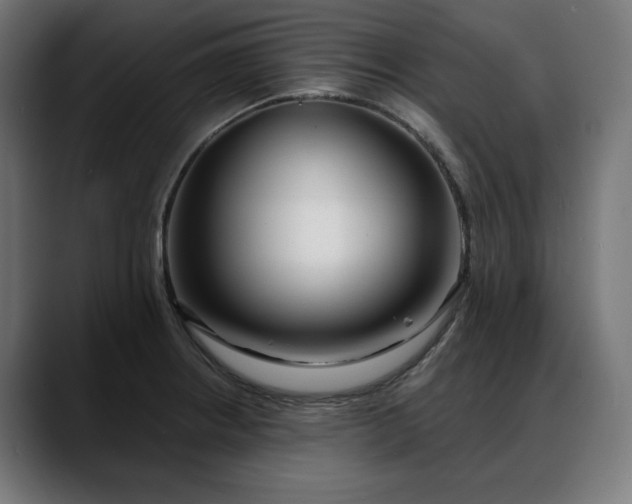 X0000088041234200705251255