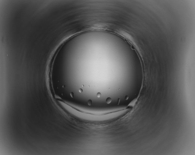 X0000088041235200705251255