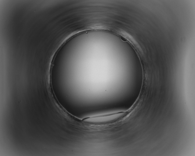 X0000088041236200705251255