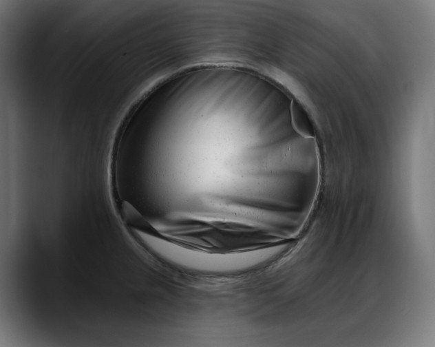 X0000088041237200705251255