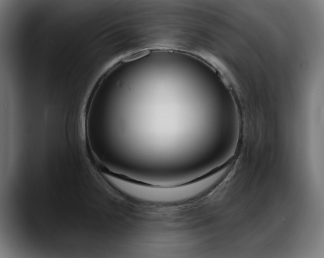 X0000088041238200705251255