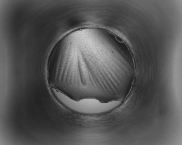X0000088041239200705251255