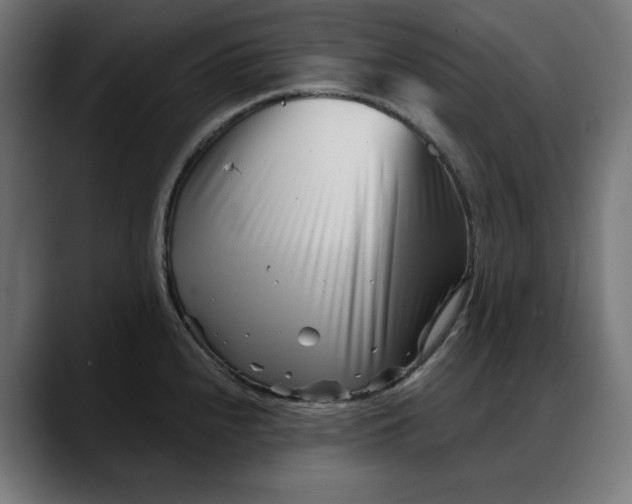 X0000088041240200705251255