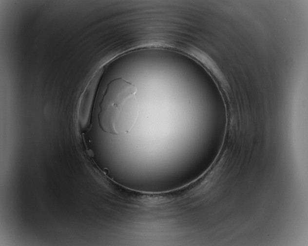 X0000088041242200705251255