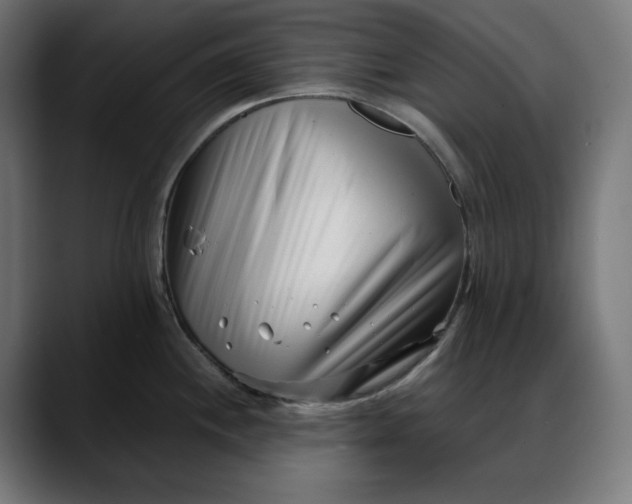 X0000088041244200705251255