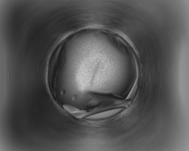 X0000088041245200705251255